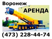 спецтехника в аренду. Автокраны